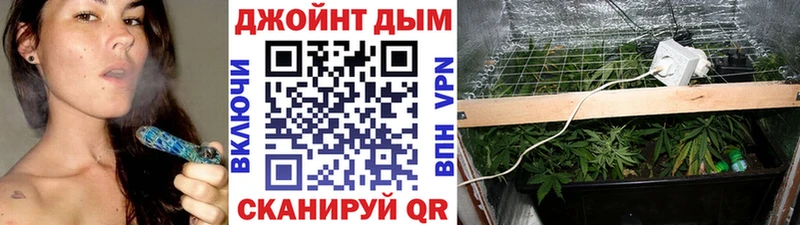 Купить где  Сковородино  Бошки марихуана ГИДРОПОН 